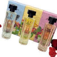 wave-removebg-preview Wave Collection Perfume